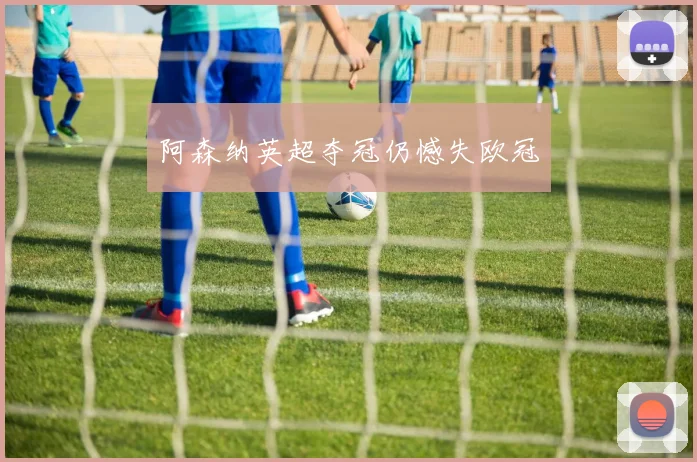 阿森纳英超夺冠仍憾失欧冠 - 龙八体育